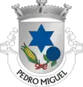 Vlag van Pedro Miguel