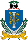 Wapen van Szomolya