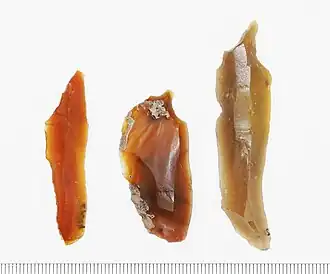 Gebruiksvoorwerpen van de Hamburgcultuur