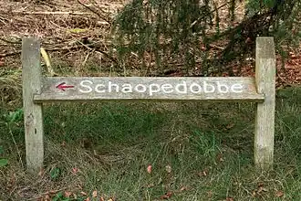 Schaopedobbe