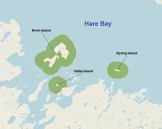 Kaart van Hare Bay Islands Ecological Reserve. Main Brook is zichtbaar in het zuidwesten.