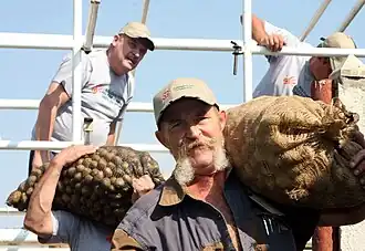 Een vrijwilliger lost geschonken eten in Welkom, Zuid-Afrika.