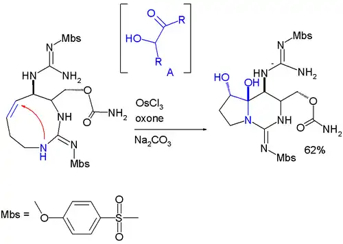 Hemiaminalvorming tijdens de synthese van saxitoxine