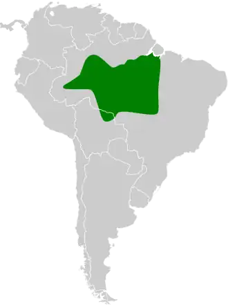 Snethlages todietiran