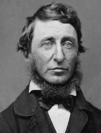 Henry David Thoreau in juni 1856, daguerreotypie van Benjamin D. Maxham