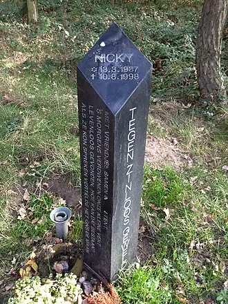 Herdenkingsmonument voor Nicky Verstappen op de Brunssummerheide vlak bij de vindplaats van het lichaam