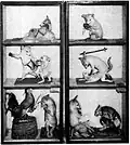 Diorama's van de Vos Reynaert, voorbeelden van antropomorfe taxidermie van Hermann Ploucquet