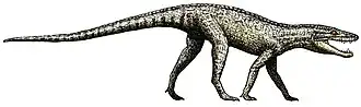 Hesperosuchus