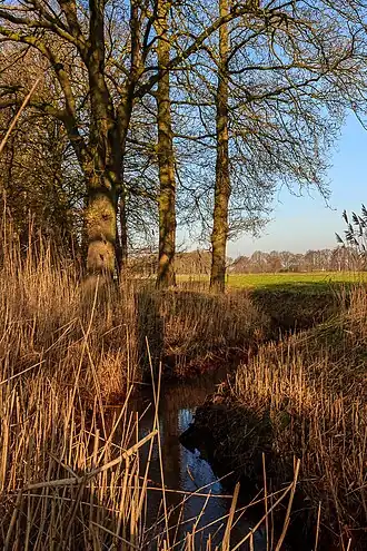 Het Merkske tussen Baarle-Hertog en Zondereigen