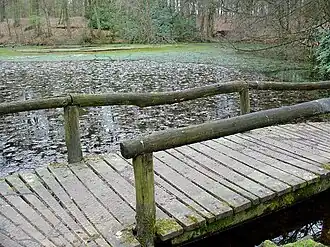 Natuurgebied Het Springendal