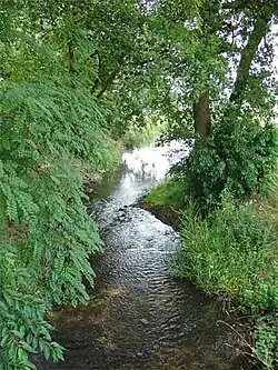 Voorste Diep bij Bronneger (2006)