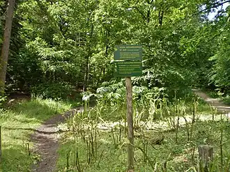 De Zuid vanaf Hollandse Sloot