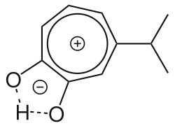 Ladingverdeling in hinokotiol