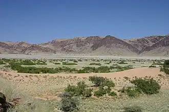 Riviervlakte van de Hoanib