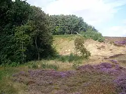 Zandkuil, insectenreservaat