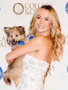 Amanda Holden (2014)