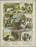 Honden en katten (collectie KB).