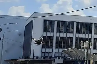 Het kunstwerk links is een ontwerp van Nic Loning