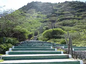 Gemetselde treden naar de top van de Hooiberg