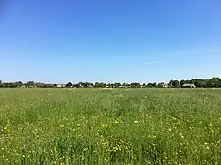 Rompgemeenschap met zachte dravik