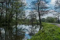 Meander in het Hoornse Diep