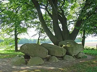 Hunebed D21 bij Bronneger, 2008