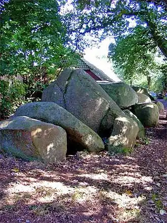 Hunebed D3 te Midlaren (er achter is hunebed D4 nog net te zien)