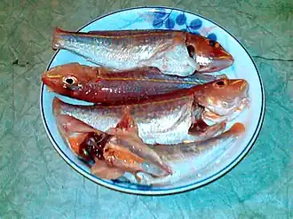 Gouden valse snapper