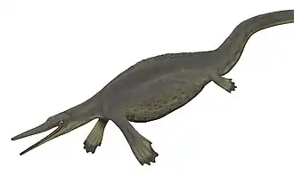 Hupehsuchus