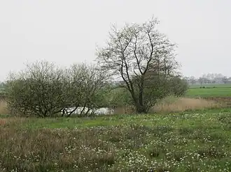 Pingoruïne in dit gebied