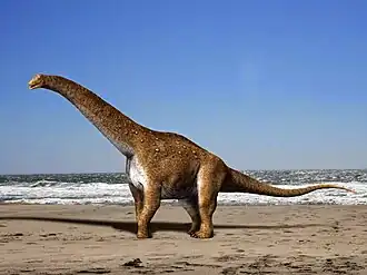 Hypselosaurus
