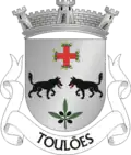 Vlag van Toulões