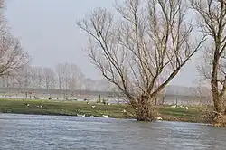 Hoogwater bij Bronkhorst