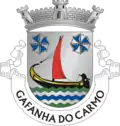 Vlag van Gafanha do Carmo
