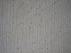 Duitse zandsteen, gescharreerd