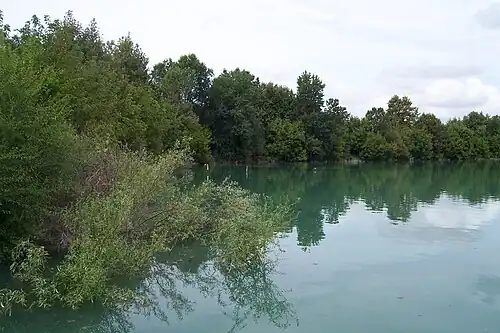 Idroscalo, de bosjes aan de zuidkant