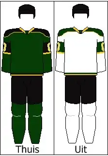 Tampereen Ilves