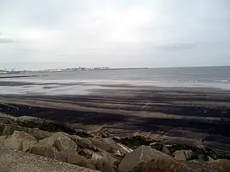 Hartlepool Submerged Forest