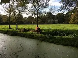 Losse objecten in de directe omgeving