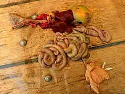 Ingewanden, uitgenomen