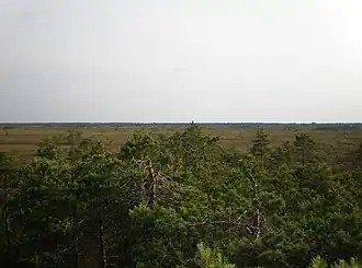 Isosuo-veen, Nationaal park Puurijärvi-Isosuo