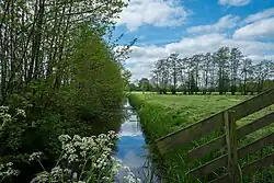 Zwadde bij It Paradyske. Linksachter (niet zichtbaar) takt de Zwaddesloot af van de Zwadde
