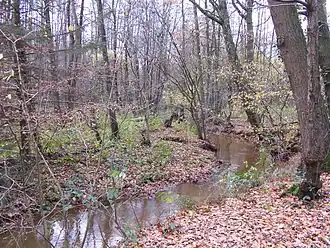 Natuurgebied Itterdal