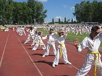 Karate in het stadion.