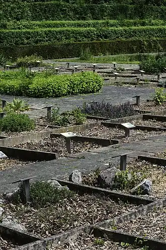 Tuin van geneeskrachtige planten Paul Moens