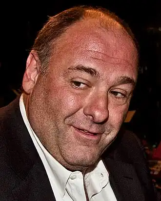 Tony Soprano(James Gandolfini)