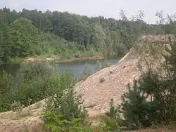 Jammerdaalsche Heide