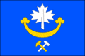 Vlag