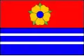 Vlag