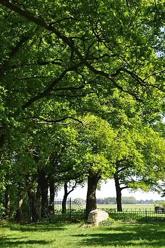 Joodse begraafplaats